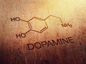 对多巴胺作用的澄清